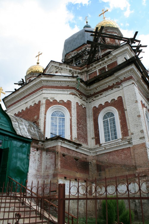 Петровск. Церковь Казанской иконы Божией Матери. общий вид в ландшафте