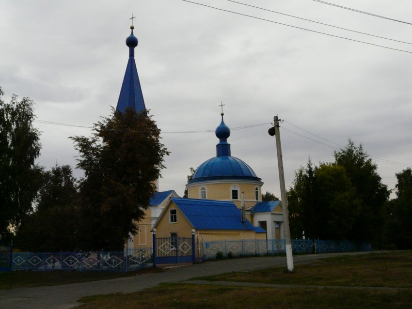 Радьковка. Церковь Вознесения Господня. общий вид в ландшафте