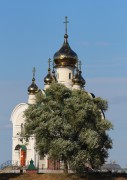 Мамонтова Никольская пустынь. Церковь Феодосия Печерского, , Мамонтово, Сосновский район, Тамбовская область