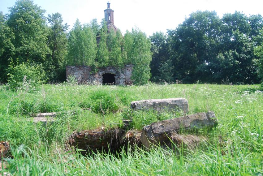 Церковь Троицы Живоначальной, Сигонтино (Галичский район, Костромская область). дополнительная информация, Вид с запада. На первом плане - остатки церковной ограды