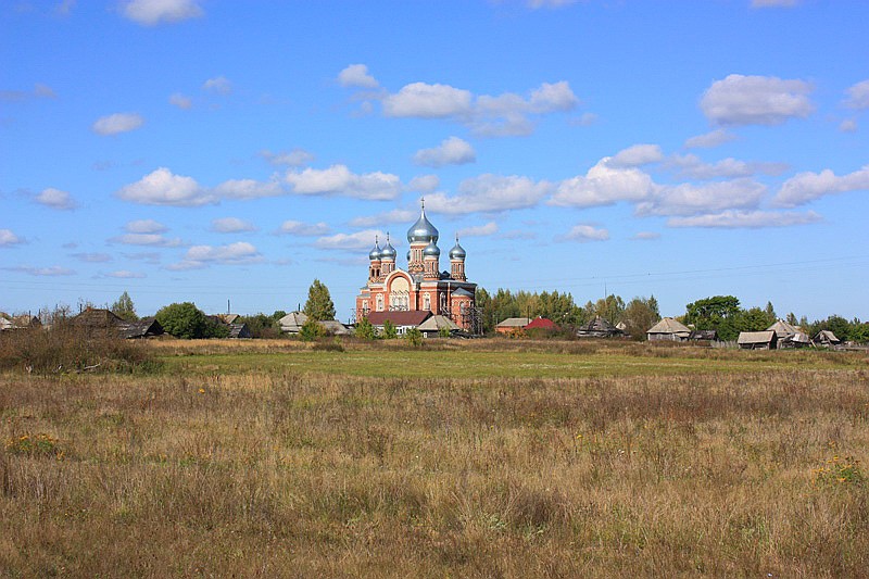 Церковь Николая Чудотворца, Котелино (Кадомский район, Рязанская область). дополнительная информация, Обший вид на село Котелино с Никольской церковью с юго-восточной стороны.		      