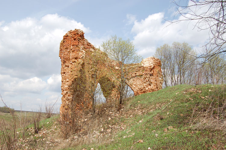 Церковь Троицы Живоначальной, Рахманово (Плавский район, Тульская область). общий вид в ландшафте