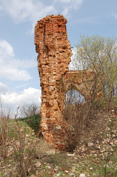 Церковь Троицы Живоначальной, Рахманово (Плавский район, Тульская область). фасады