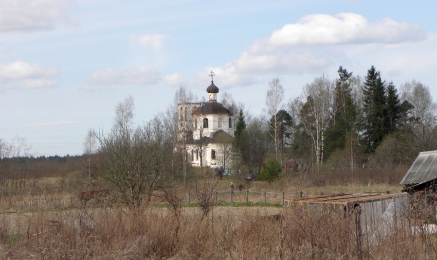 Церковь Успения Пресвятой Богородицы, Нальцы (Боровичский район, Новгородская область). общий вид в ландшафте