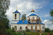 Церковь Успения Пресвятой Богородицы, , Нальцы, Боровичский район, Новгородская область