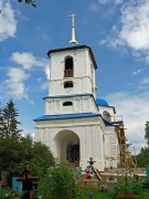 Церковь Успения Пресвятой Богородицы - Нальцы - Боровичский район - Новгородская область