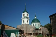 Церковь Троицы Живоначальной - Сопины - Боровичский район - Новгородская область