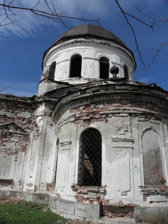 Церковь Троицы Живоначальной, Сопины (Боровичский район, Новгородская область). документальные фотографии