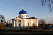Церковь Екатерины, , Ровное, Боровичский район, Новгородская область