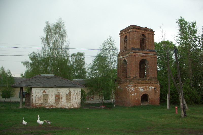 Церковь Покрова Пресвятой Богородицы, Малынь (Щёкинский район, Тульская область). общий вид в ландшафте
