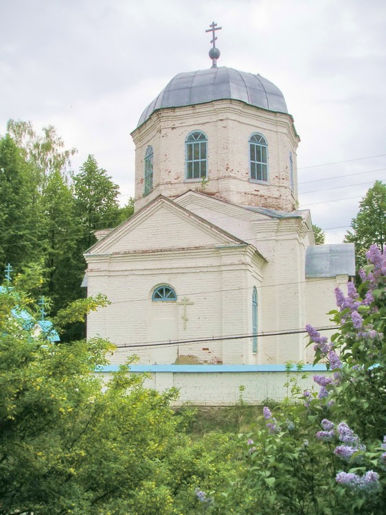 Церковь Спаса Нерукотворного Образа, Чистое Поле (Бор, ГО, Нижегородская область). архитектурные детали