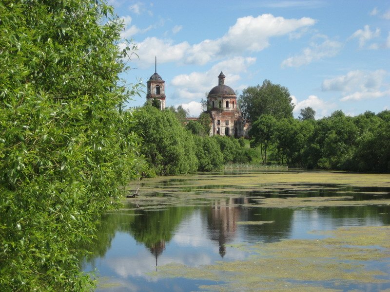 Селякино. Церковь Троицы Живоначальной. общий вид в ландшафте, Вид с пруда
