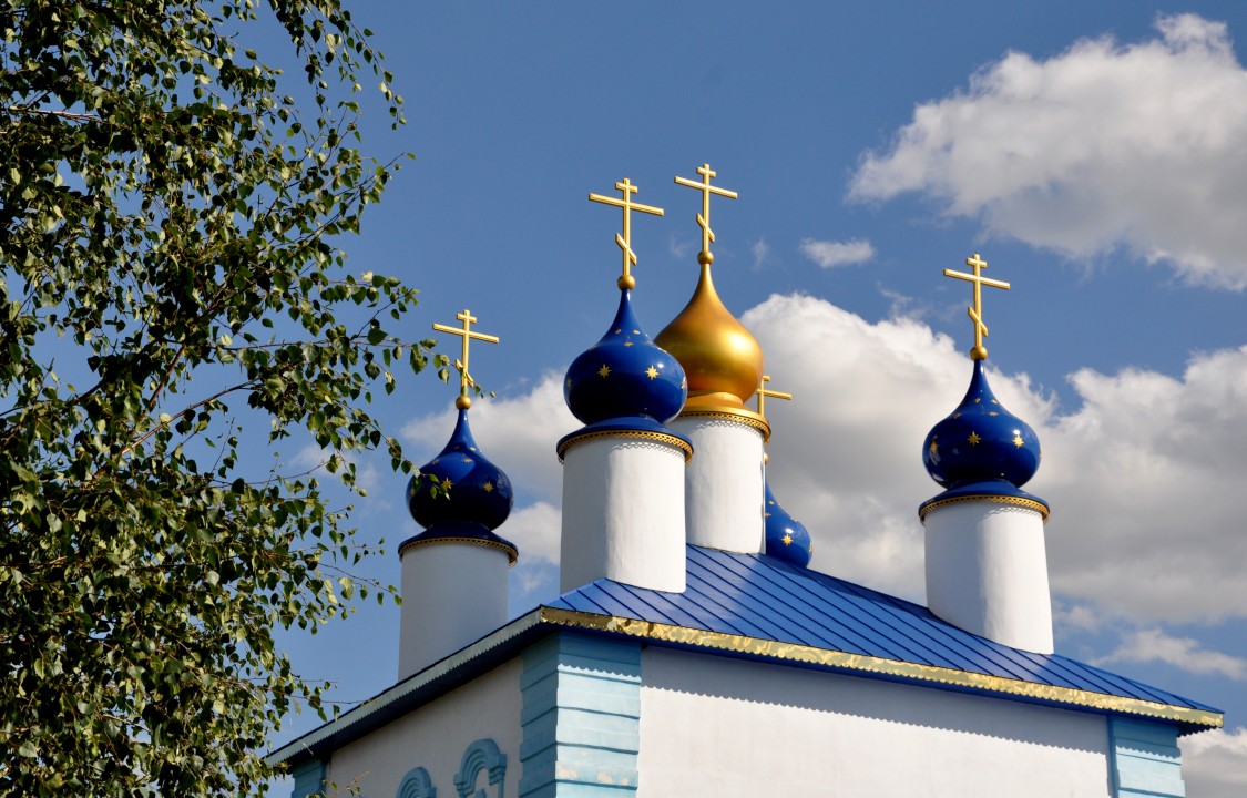 Покровское. Церковь Покрова Пресвятой Богородицы. архитектурные детали