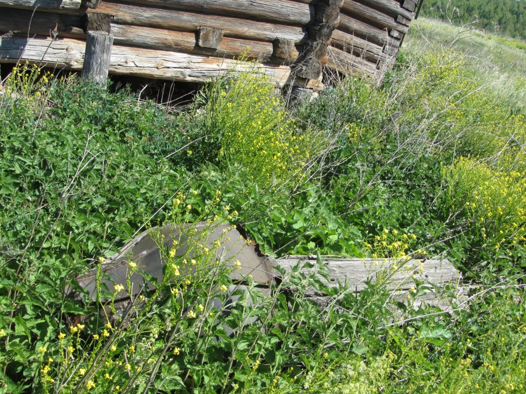Церковь Николая Чудотворца, Новокрещено (Городищенский район, Пензенская область). дополнительная информация