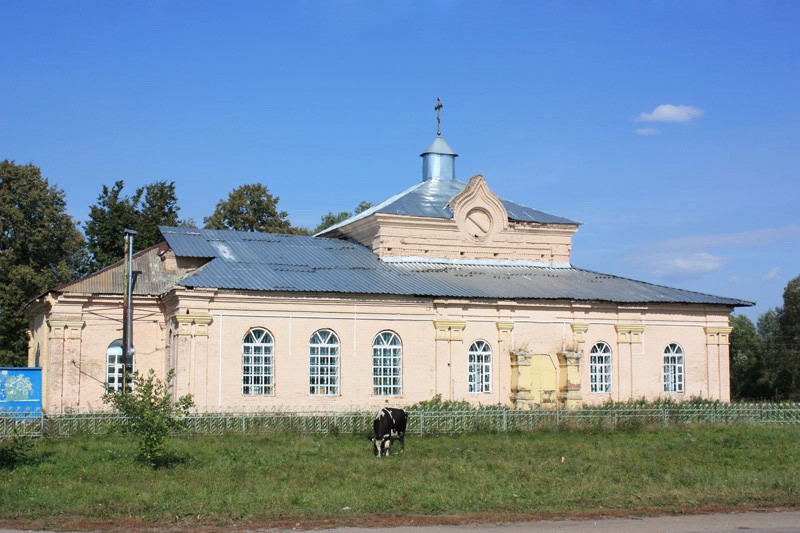 Огарево-Почково. Церковь Успения Пресвятой Богородицы. фасады, Общий вид Успенской церкви с юга.