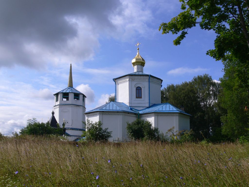 Церковь Преображения Господня, Прибуж (Гдовский район, Псковская область). общий вид в ландшафте