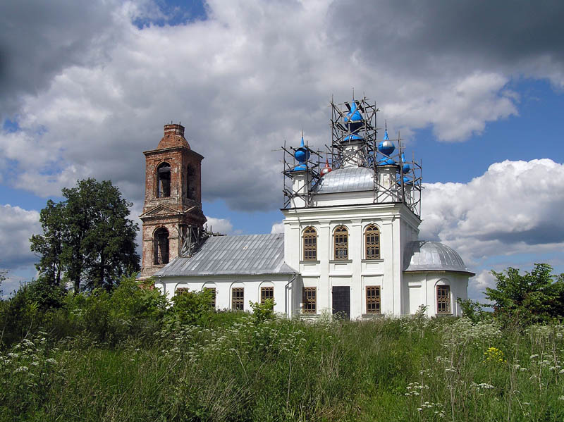 Новленское. Церковь Успения Пресвятой Богородицы. общий вид в ландшафте