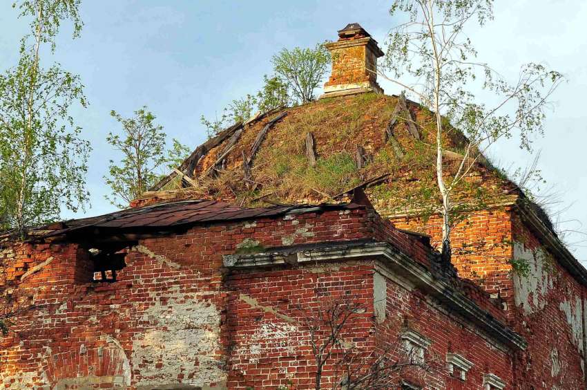 Церковь Рождества Христова, Пронюхлово (Зарайский городской округ, Московская область). архитектурные детали