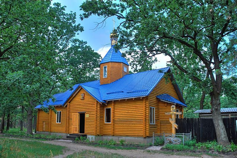 Церковь Владимирской иконы Божией Матери, Виноградарь (Подольский район, Украина, г. Киев). общий вид в ландшафте