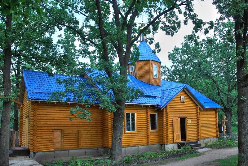 Церковь Владимирской иконы Божией Матери, Виноградарь (Подольский район, Украина, г. Киев). общий вид в ландшафте
