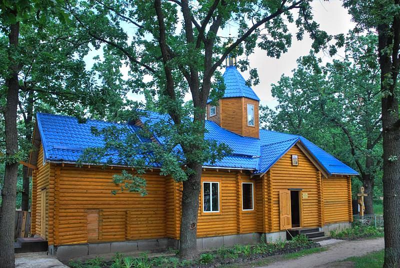 Киев. Церковь Владимирской иконы Божией Матери. общий вид в ландшафте