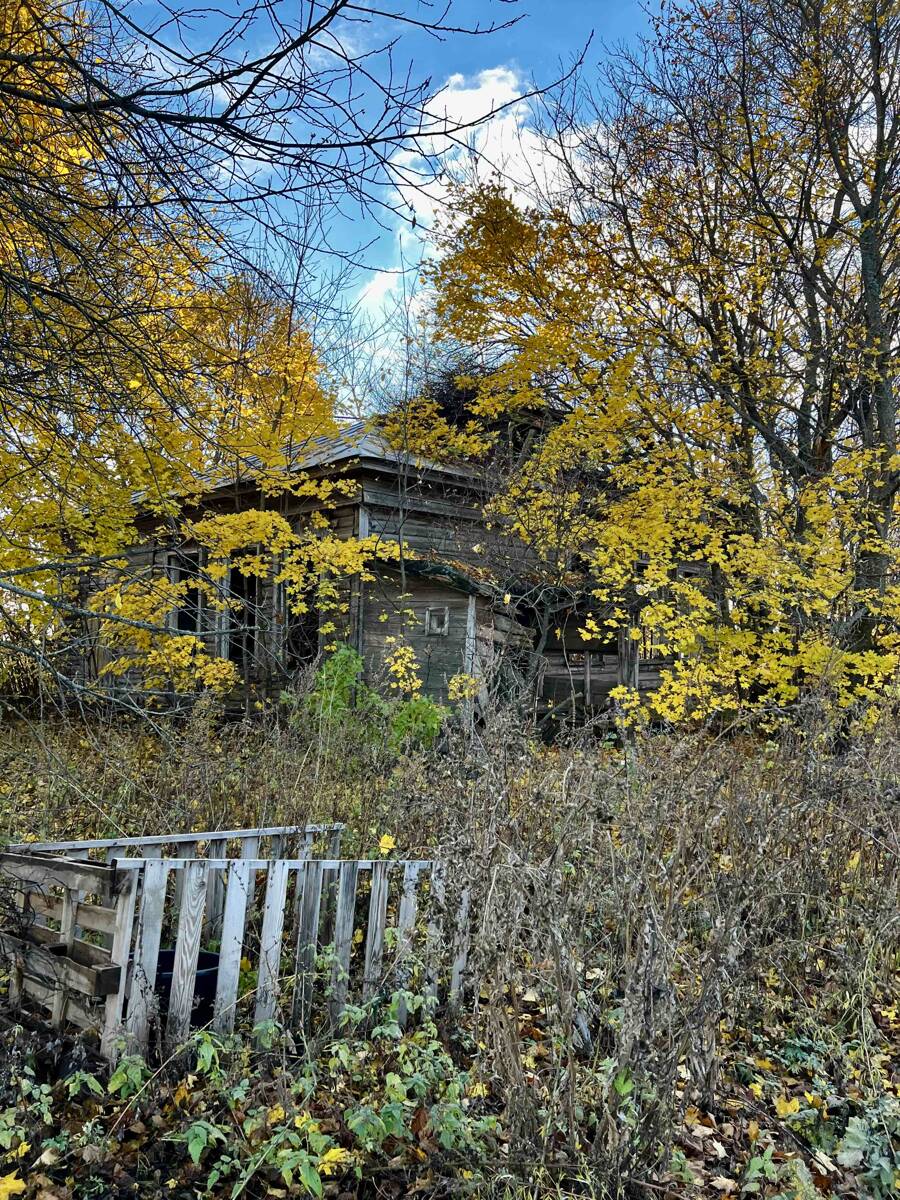 Церковь Спаса Нерукотворного Образа (деревянная), Заречное (Серякуши) (Ардатовский район, Нижегородская область). общий вид в ландшафте
