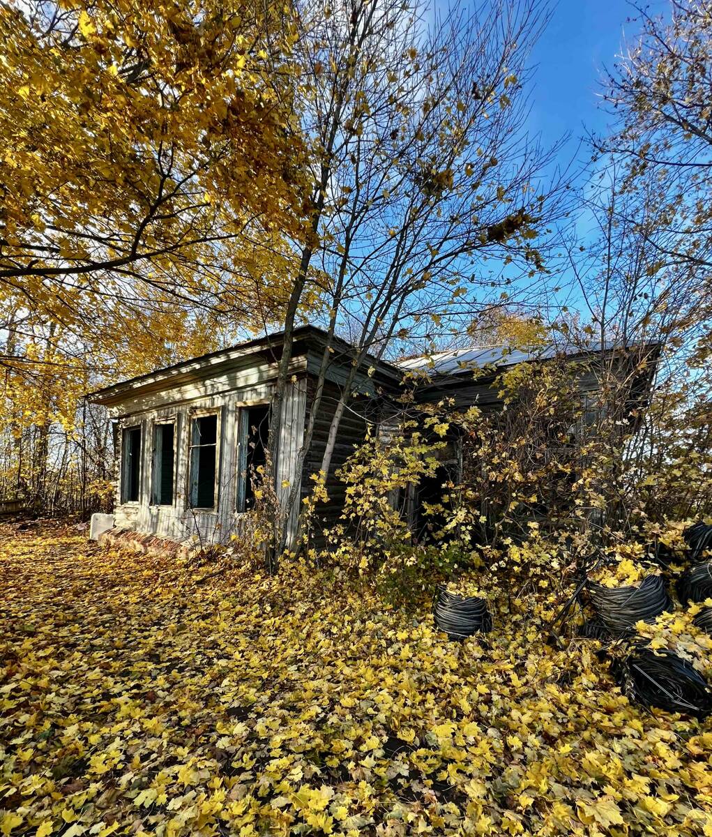 Церковь Спаса Нерукотворного Образа (деревянная), Заречное (Серякуши) (Ардатовский район, Нижегородская область). общий вид в ландшафте