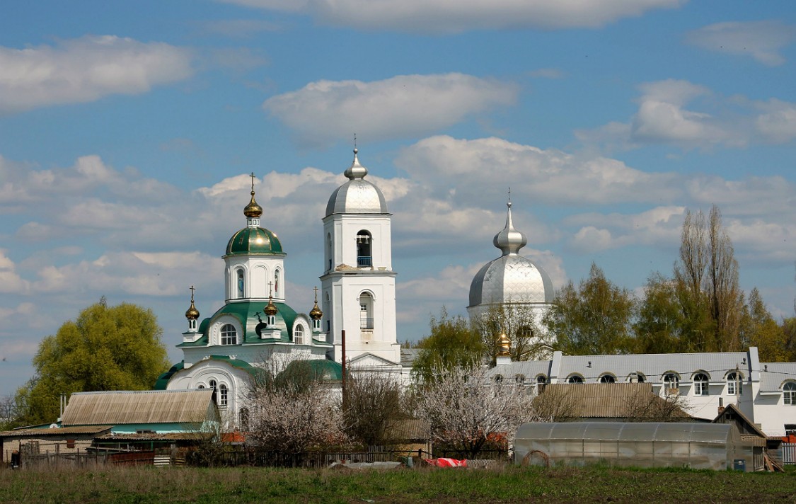 Благовещенский монастырь, Ожога (Воловский район, Липецкая область). фасады, Общий вид монастыря