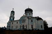 Церковь Троицы Живоначальной, Вид с юга<br>, Байково, Починковский район, Нижегородская область