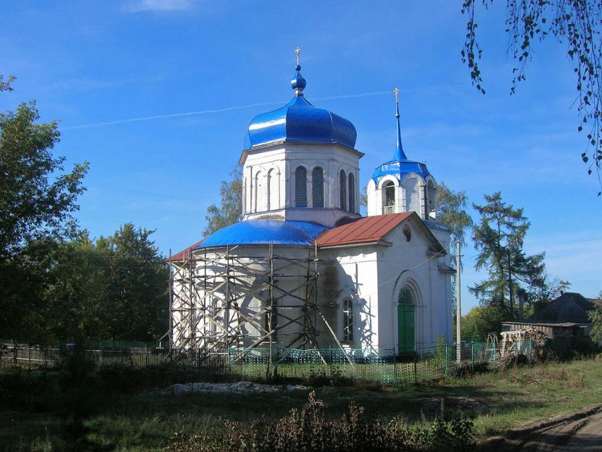 Церковь Покрова Пресвятой Богородицы, Боровое (Усманский район, Липецкая область). общий вид в ландшафте