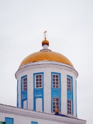 Собор Николая Чудотворца, , Мензелинск, Мензелинский район, Республика Татарстан