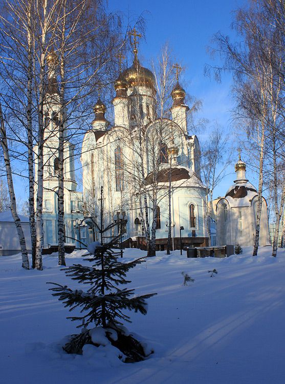 Чебоксары. Собор Покрова Пресвятой Богородицы и Татианы Римской. общий вид в ландшафте