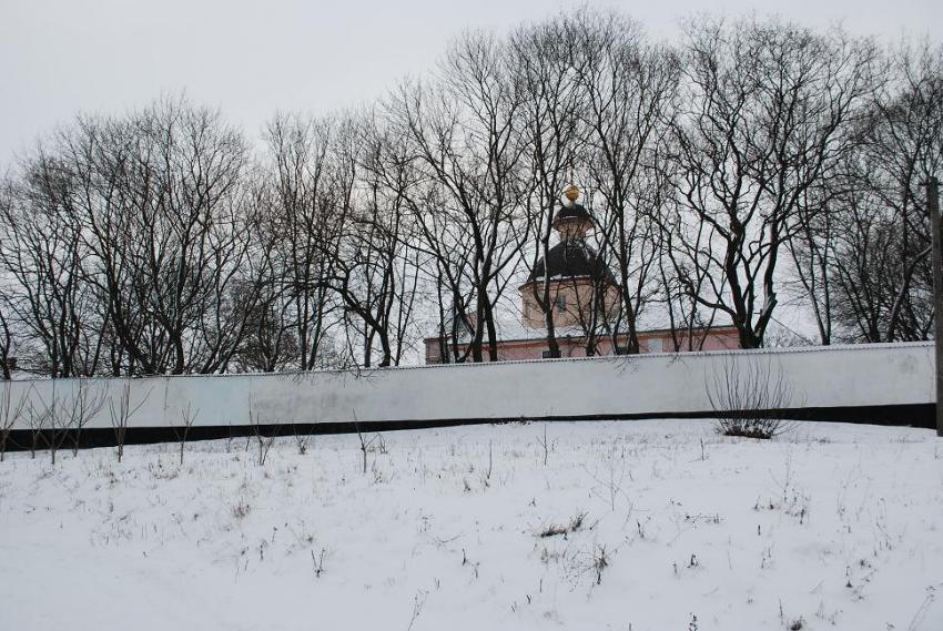Церковь Успения Пресвятой Богородицы, Дорогобуж (Гощанский район, Украина, Ровненская область). общий вид в ландшафте
