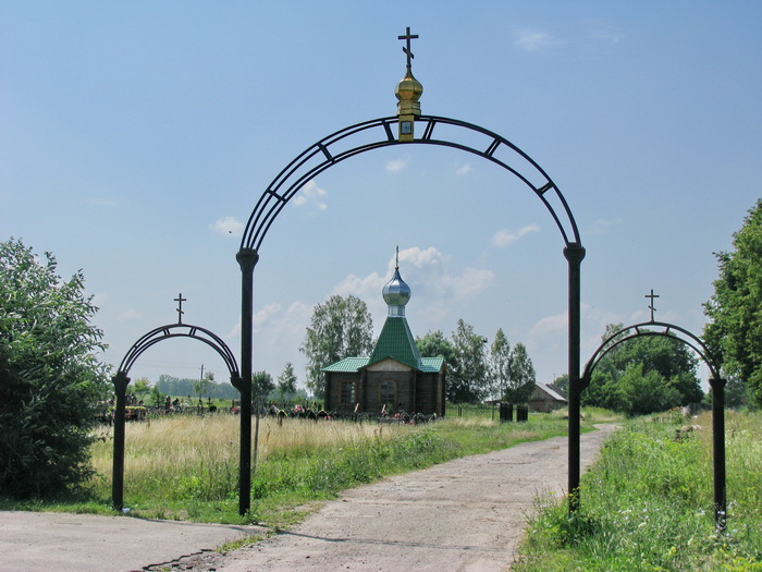 Церковь Ксении Петербургской, Балдыж (Брянский район, Брянская область). общий вид в ландшафте