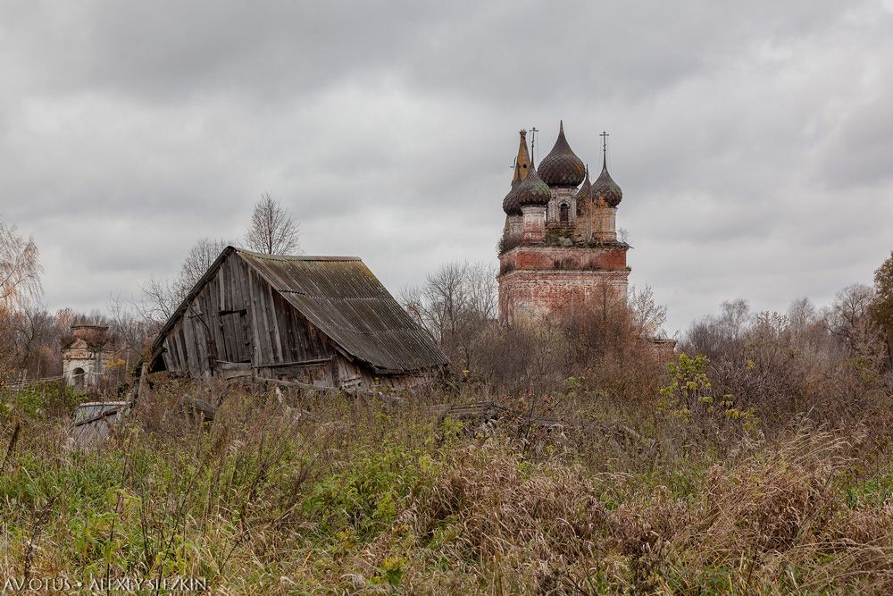 Церковь Троицы Живоначальной, Ёмсна (Нерехтский район, Костромская область). архитектурные детали