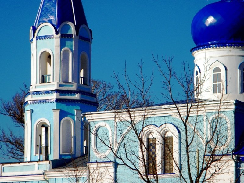 Церковь Троицы Живоначальной, Лебяжье (Курский район, Курская область). архитектурные детали