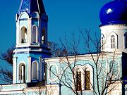 Церковь Троицы Живоначальной - Лебяжье - Курский район - Курская область