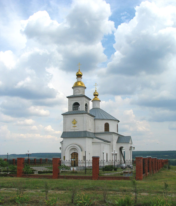 Шопино. Церковь Покрова Пресвятой Богородицы. общий вид в ландшафте