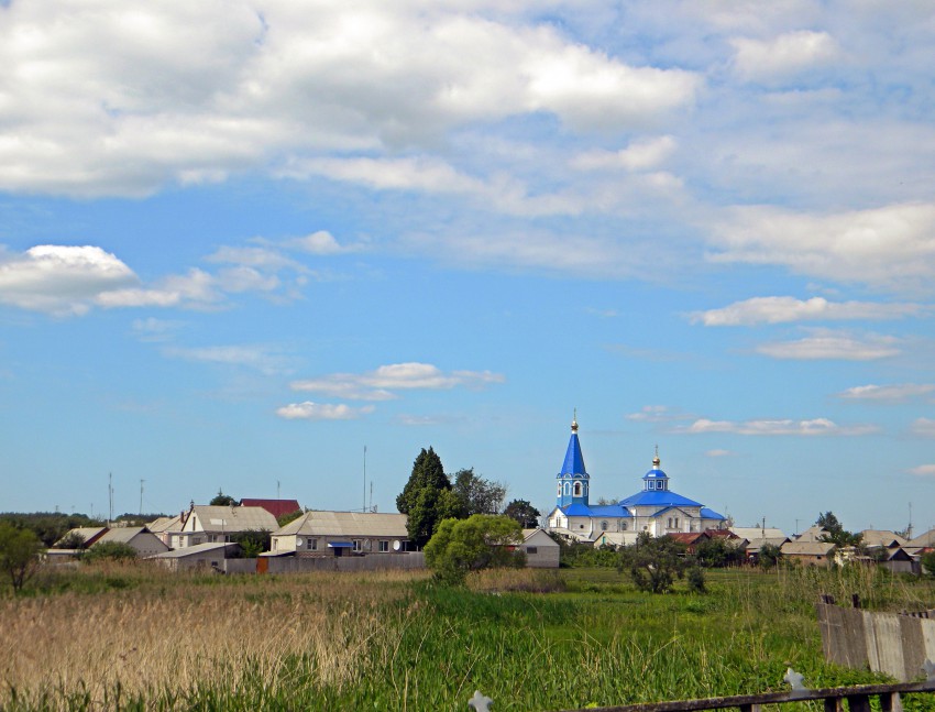 Томаровка. Церковь Казанской иконы Божией Матери. общий вид в ландшафте