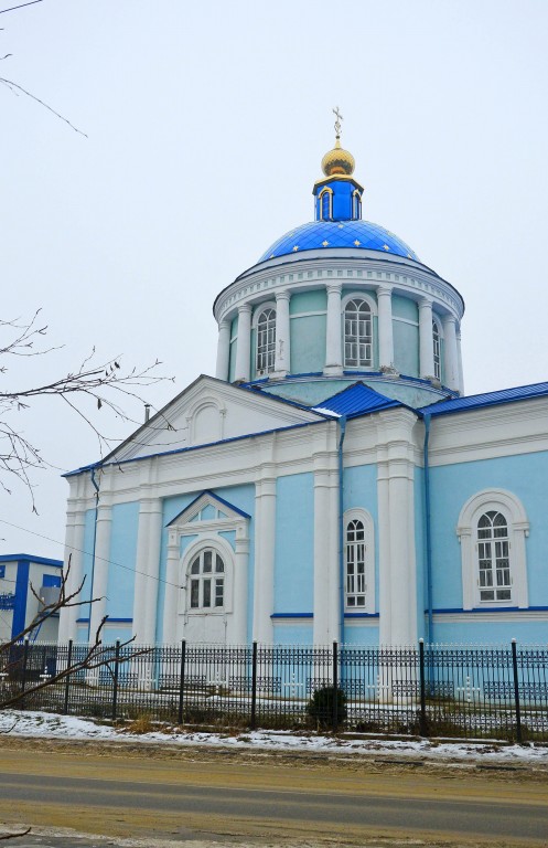 Церковь Михаила Архангела, Борисовка (Борисовский район, Белгородская область). архитектурные детали