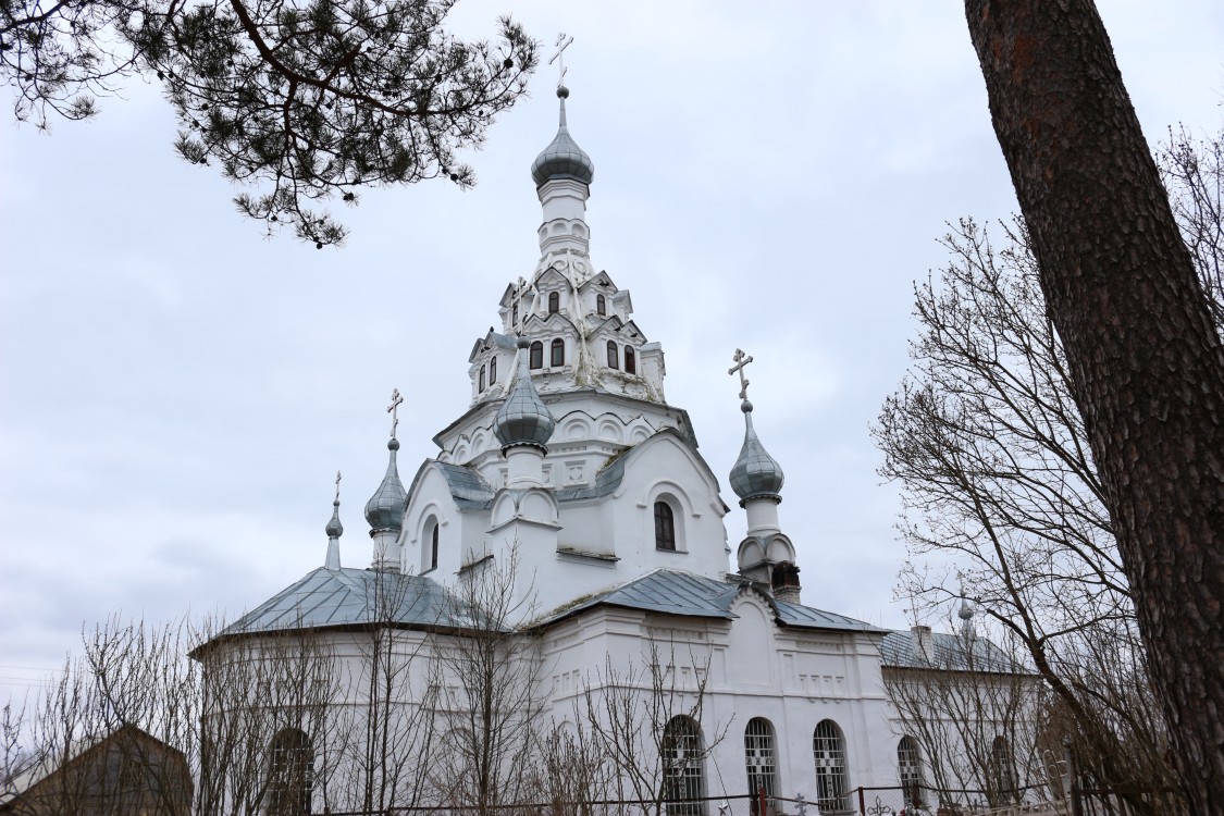 Церковь Николая Чудотворца, Сергиевское (Угличский район, Ярославская область). фасады, Вид с северо-востока