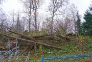 Церковь Покрова Пресвятой Богородицы, , Турны, Бологовский район, Тверская область