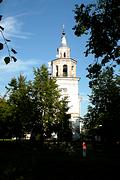 Церковь Троицы Живоначальной, , Петровское, Лежневский район, Ивановская область