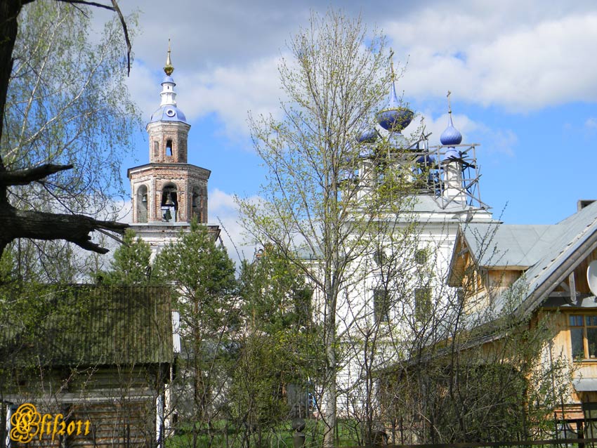 Церковь Троицы Живоначальной, Петровское (Лежневский район, Ивановская область). общий вид в ландшафте