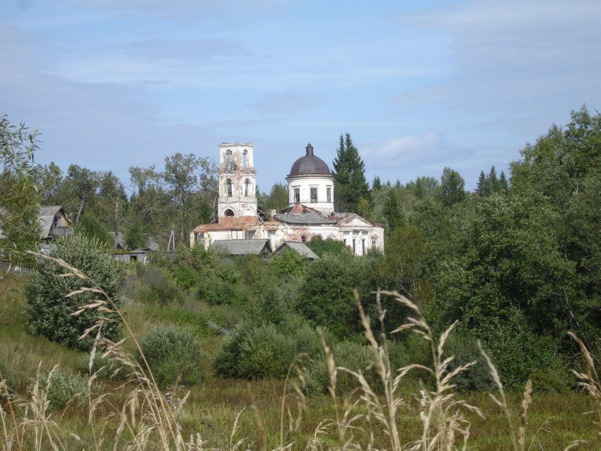 Церковь Иоанна Предтечи, Шедомицы (Боровичский район, Новгородская область). общий вид в ландшафте