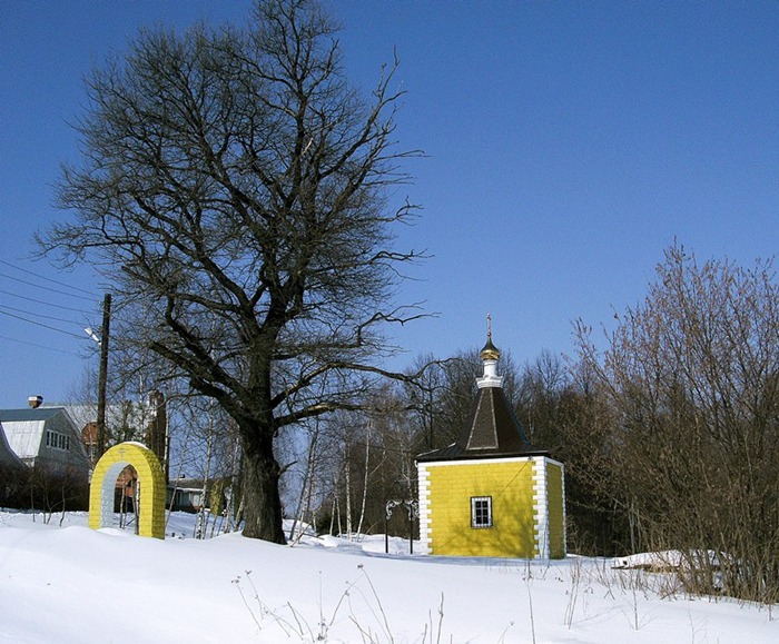 Часовня Николая Чудотворца, Николаевка (Боровский район, Калужская область). общий вид в ландшафте, Общий вид с юго-востока.