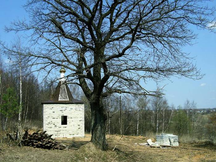 Николаевка. Часовня Николая Чудотворца. общий вид в ландшафте, Каменная часовня во имя свт.Николая Чудотворца современной постройки.Строительство начато в 2005 году по инициативе  жителей дер.Николаевки Боровского района.Часовня приписана к храму Бориса и Глеба(Борисоглебская) г.Боровска Калужской области.