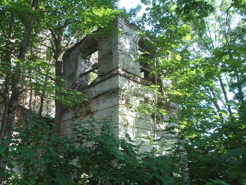 Церковь Михаила Архангела, Дуняни (Локнянский район, Псковская область). архитектурные детали