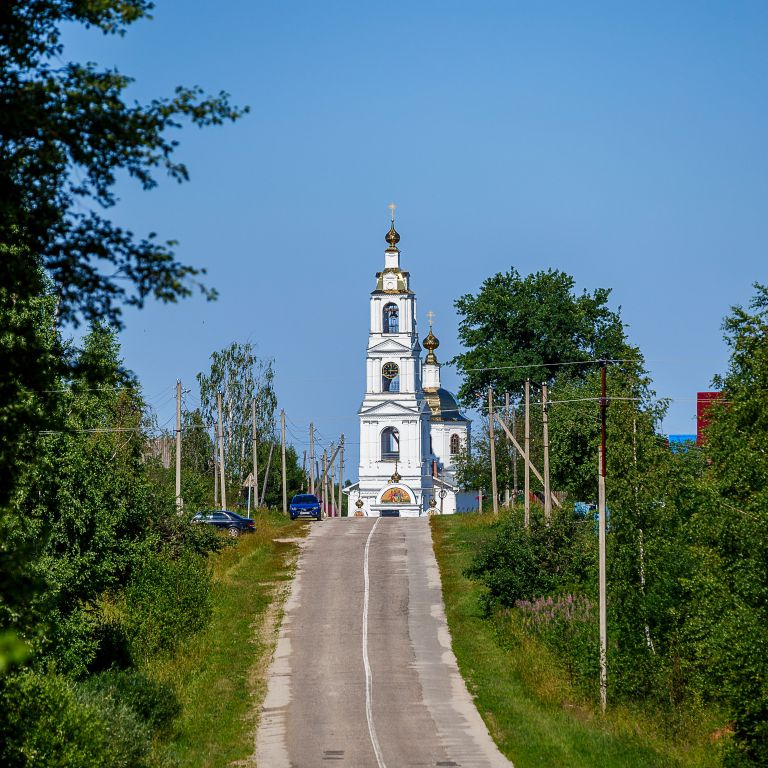 Прозорово. Церковь Михаила Архангела. общий вид в ландшафте