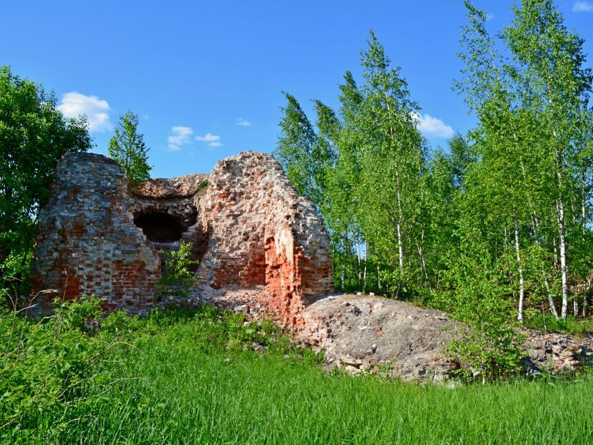 Церковь Спаса Преображения, Митьково (Спас-Митьково) (Ржевский район и г. Ржев, Тверская область). общий вид в ландшафте, Вид с юго-запада на руины нижнего яруса колокольни и фрагмент западной стены трапезной